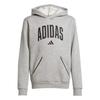 Childrens/Kids Fleece Hoodie
