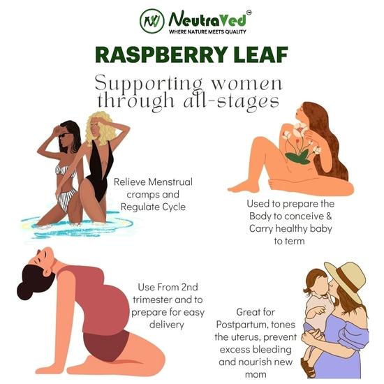 NeutraVed Himbeertee | Bio-Himbeerblättertee Gesammelt aus dem Himalaya-Gürtelwald | Unterstützt das weibliche System - 50g