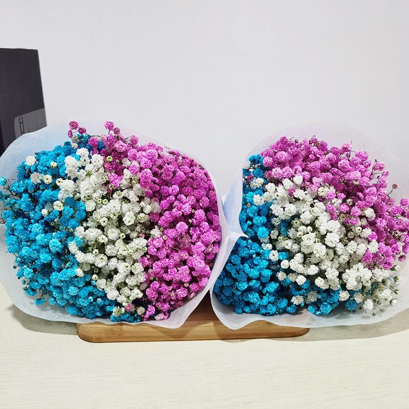 Baby's Breath Dried Flower Bouquet for Living Room Decor - Real Fresh Cut Flowers, Perfect for Gifting and Decorative Ornaments.
