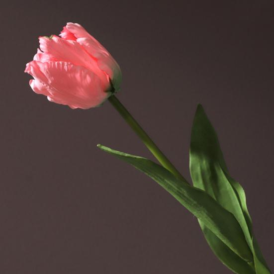 Flores de Tulipán Artificiales Tacto Real Tulipán de Tallo Largo Ramo con Hojas para Ramo de Boda Arreglo Floral de Primavera Decoración de Mesa para el Hogar