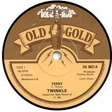 7inch Record TWINKLE - Terry / Golden Lights OG9027 Old Gold, Light 1980 UK Pop Used