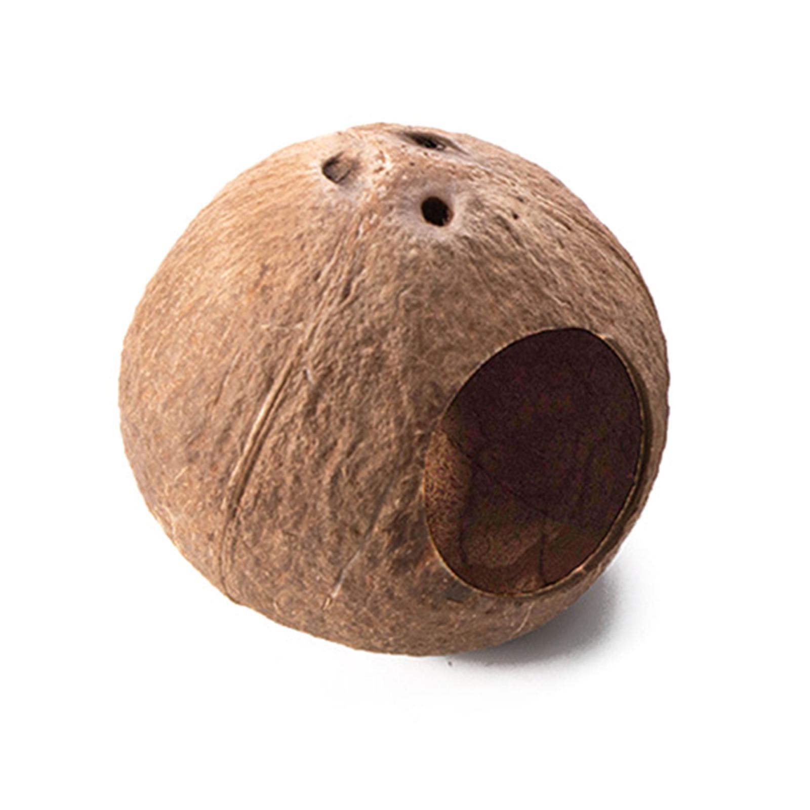 Домик для хомяка, укрытия, лестница для лазания, среда обитания мелких животных, натуральный кокосовый игровой домик, жевательная игрушка для карликового хомяка C