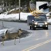 2Pcs Ultrasonic Animal Saving Wind Whistle Cars Motorcycle Deer Warning Repeller