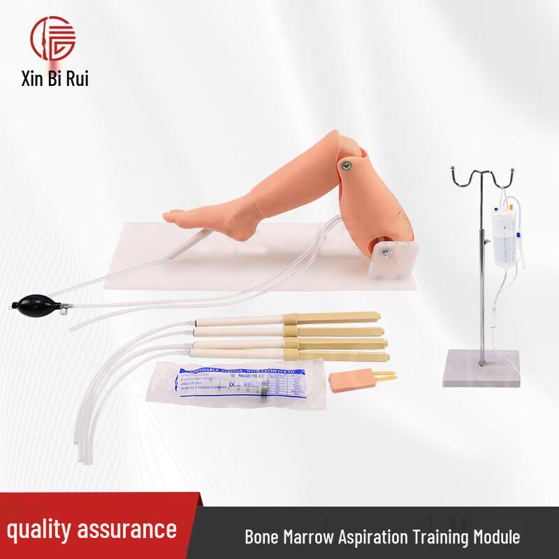 

Tibial Puncture & Bone Marrow Aspiration Training Model