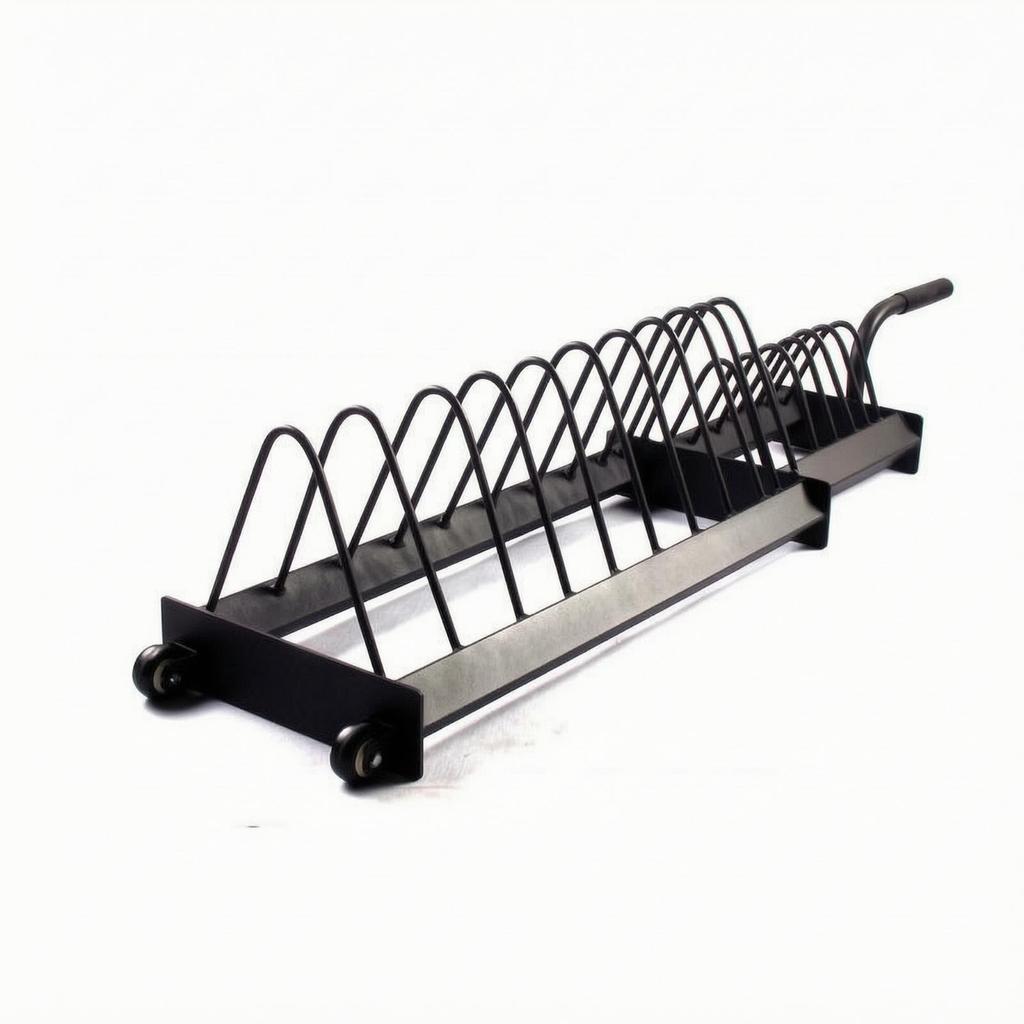 Exercise Disc Storage Rack with Wheels Heavy-Duty Mobile for
