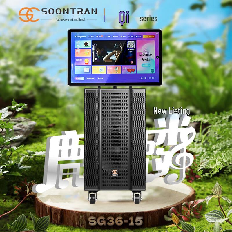 Songchuan Portable Karaoke & PA Speaker with Trolley