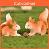 Cute Miniature Garden Ornament Resin Squirrel And Acorn Fairy Garden Decor