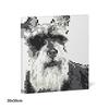 JEKCA Jekka Block Panel Standard Schnauzer 01S ST24SS01 -