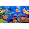 3 Pcs Fake Floating Fishes Plastic Fake Goldfish Artificial Aquarium Fishes Colorful Realistic Artificial Moving Fish Ornament Decorations for
