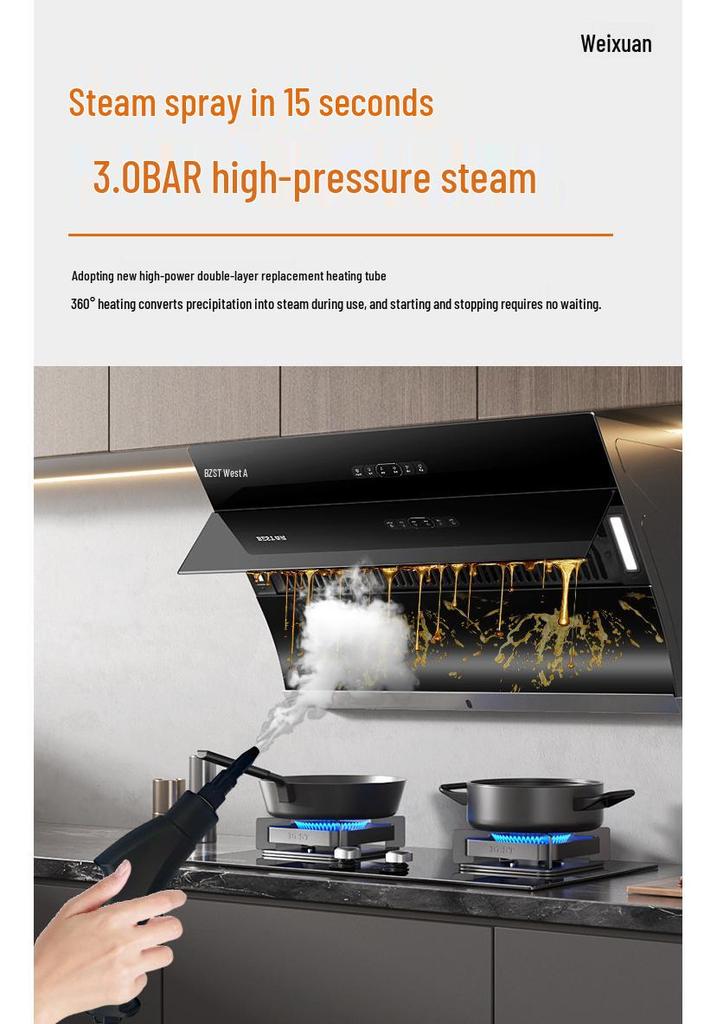 Nettoyeur vapeur haute température Bestseller russe: Lave-linge multi-usages pour climatiseur et appareils ménagers