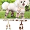 Dog Pants Cute Puppy Clothes With Shoes Pet Supplies Comfortable Dog Apparel For Adventures Garden Gatherings Indoor Outdoor