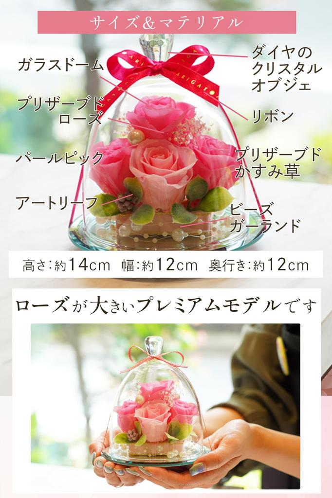 IPFA Preserved Flowers Glass Dome Elegance Premium You Birthday Wedding Gift Wedding Anniversary Retirement Gift 60th Birthday Gift Popular Flowers