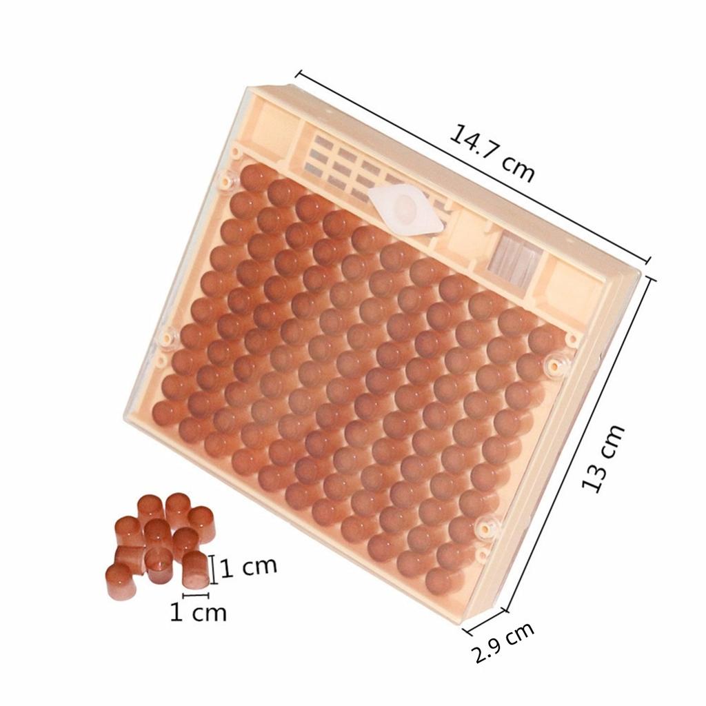 Królowa Matka Hodowla Królowych Pudełko Hodowlane Zestaw 120 Szt. Brązowe Kubeczki Hodowlane 1 Szt. Plastikowa Pokrywa Ochronna Pudełko Hodowlane Akcesoria do Ula