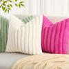 HAPIHAPPY New Faux Fur Throw Pillow Covers Winter Pillow Cover 18X18 Set of 2 Soft Plush Goose Down Pillowcase Fuzzy Home Pillow