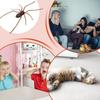 Lifelike 3D design flexible Spider Funny Ornament Party DIY Decoration Halloween Fake Spider reusable Plastic Figure Prank Toy