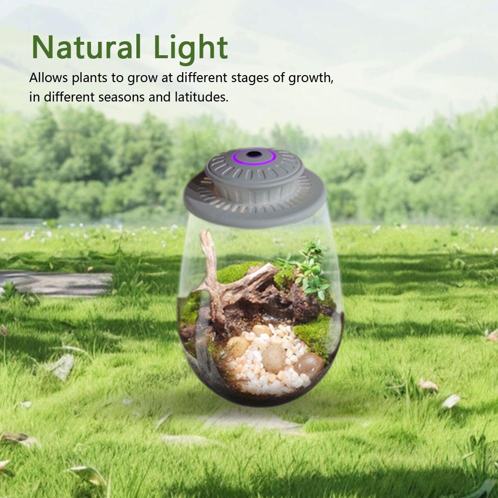 Desktop Miniature Plant Light Fern Moss Micro-Landscape Grow Light with Timer Plant Grow Light for Miniature Gardening Landscape