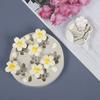 Daisy Flower Silicone Mold Fondant Mould Cake Decorating Tools Chocolate Gumpaste Candy Clay Moulds M2352