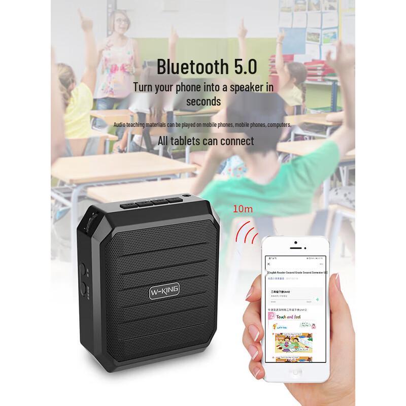 W-King KS10+ Portable Wireless Amplifier