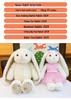 Carrot Rabbit Plush Toy Series - Soothing Dolls Available Now