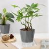 Automatic water supply planter for bottom water supply set of with water supply suitable for indoor and outdoor growing and dark gray houseplants,