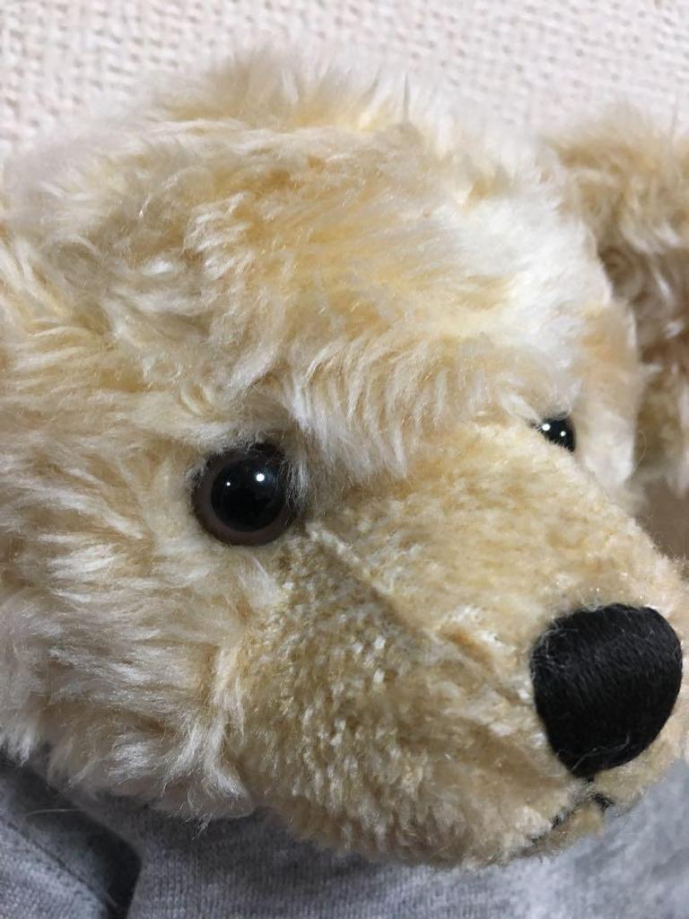 [USED] ROSS Petit Loup Teddy Bear Plush Toy, Dress-Up Bear, Love It