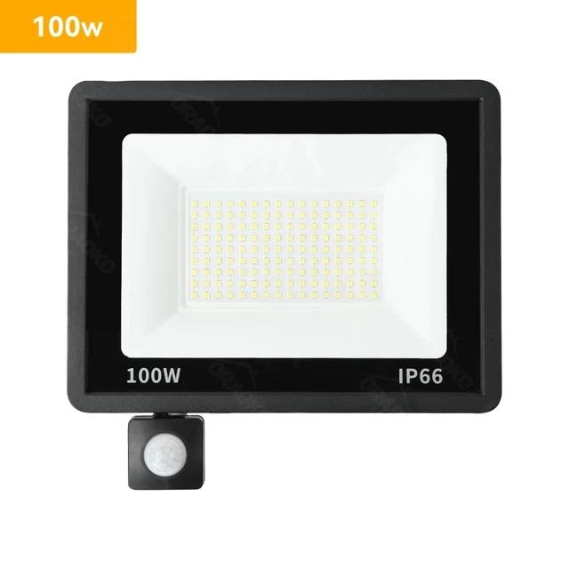LED Floodlight PIR Motion Sensor White/Warm White IP66 AC220V Exterior Projector Spotlight SMD2835 Outdoor Lighting Floor Lamp