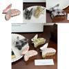 Trendy Acetate Hair Clip With Butterfly Design For Women Perfect For Casual And Work Styles