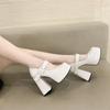 Ladies' High Heels 12cm French Mary Jane Shoes Thick Heel  Waterproof Platform Super Single Shoes Sandalias De Tacón 2025