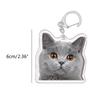 Creative Cat Shape Keychain Mini Animal Toy Keyrings Acrylic Animals Key Chain Pendant DIY Keychains Crafts Decorations