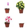 Outdoor Artificial Azalea Bonsai Set - Small Potted Plant for Flower Bed or Corridor Display
