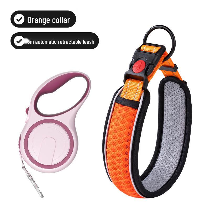 Pet Collar with Retractable Leash Set