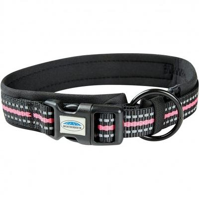 Hundar – Hundhalsband & Koppel