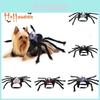Halloween Pet Dog Cat Simulation Skull Black Spider Costume