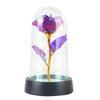 Gold Foil Rose Glass Dome Night Light - Everlasting Flower Valentine's & Birthday Creative Gift Ornament