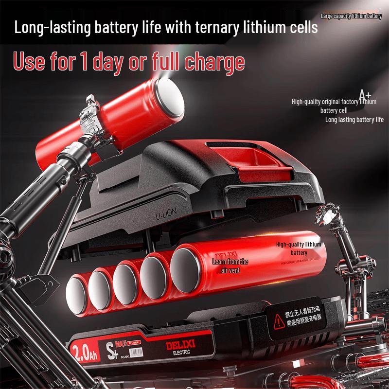 DELIXI Cordless Electric Drill and Screwdriver CN plug (adapter included)