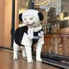 Autumn/Winter Warm Blue Cat Vest for Hairless Cats and Kittens