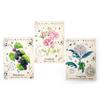 Green Witch Oracle Cards: Discover Real Secrets Tarot Cards