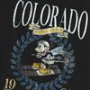 Disney Unisex Adult Colorado Ski Mickey Mouse T-Shirt