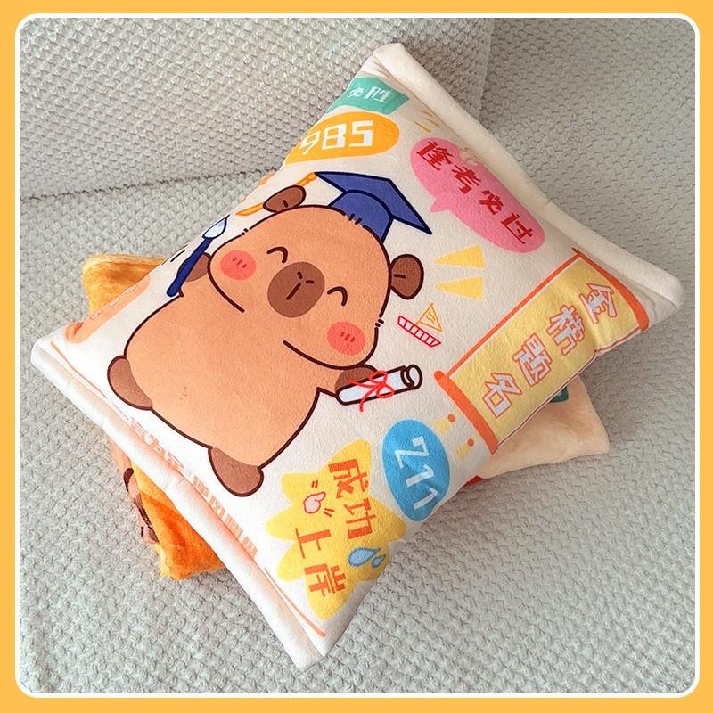 Short Plush Cushion Blanket For Students Graduation Gift