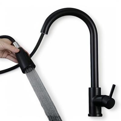 Rubinetto per lavabo da bagno estraibile spazzolato/nero in acciaio inossidabile Rubinetto miscelatore caldo e freddo per lavello da cucina Rubinetto Rubinetto doccia nero