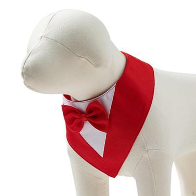 Bekleidung & Schuhe – Hundezubehör