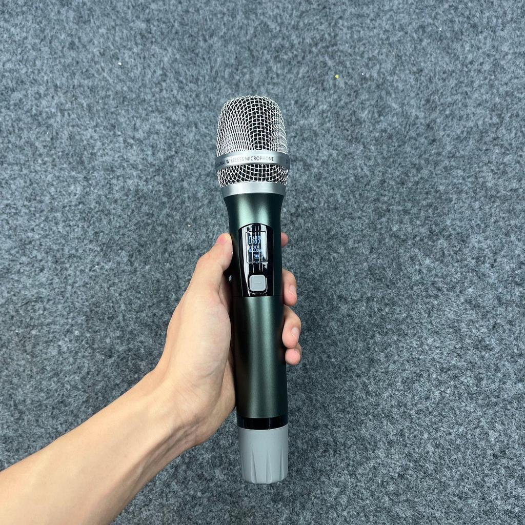 True Diversity Dual Wireless Microphone - In Stock