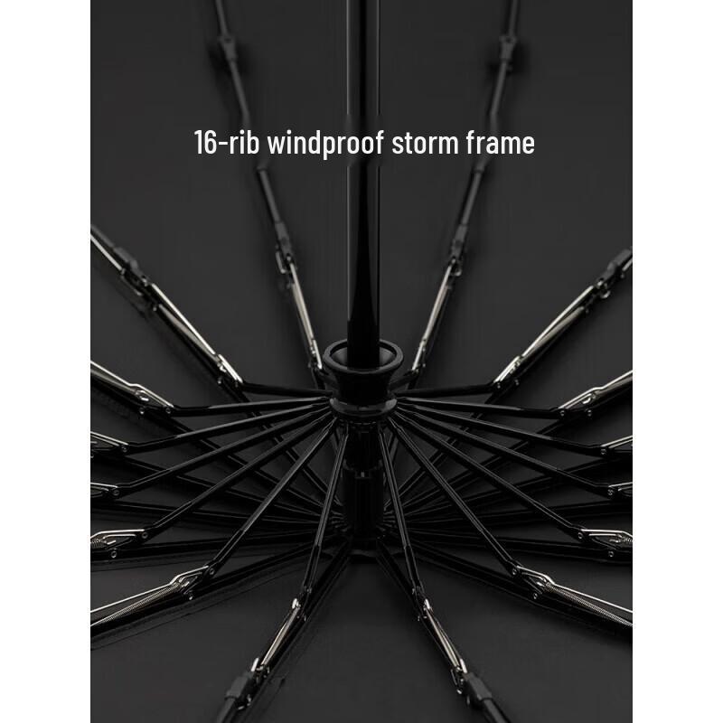ZUODU Large Fully Automatic 10-Rib Folding Umbrella