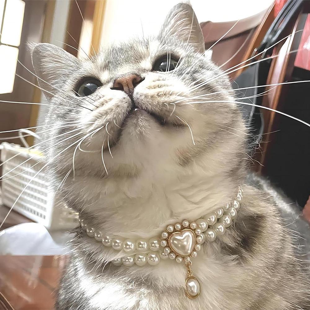 Cross-Border Pet Pearl Gemstone Collar: Double-Layer Cat Dog Necklace with Princess Pendant
