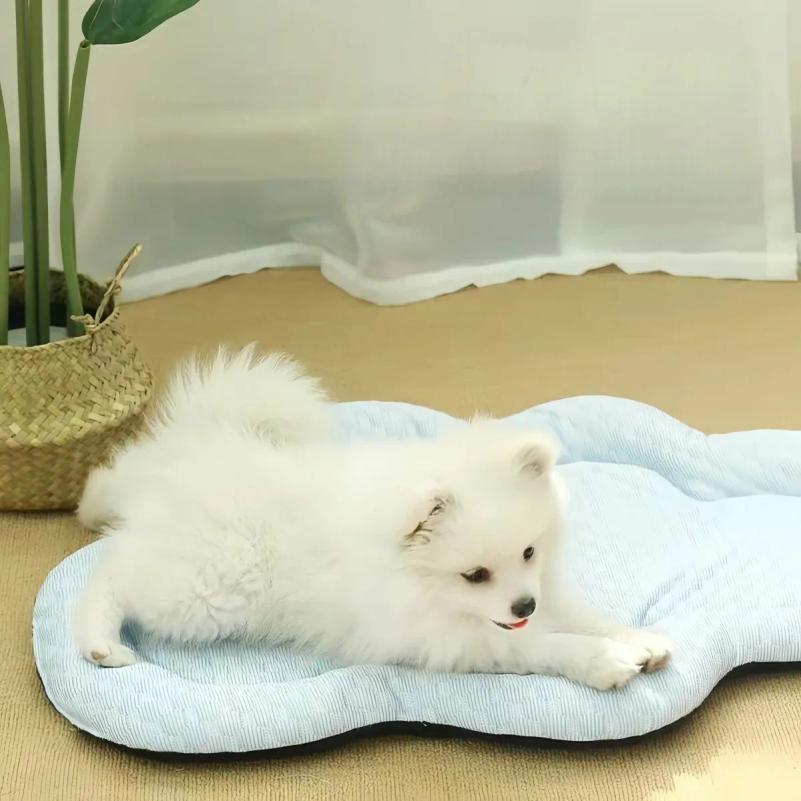 Summer Cloud Shape Cooling Pet Mat Bubble Textured Breathable Soft Washable Cushion Indoor Kennel Sofa Bed For Cat Dogs Puppie