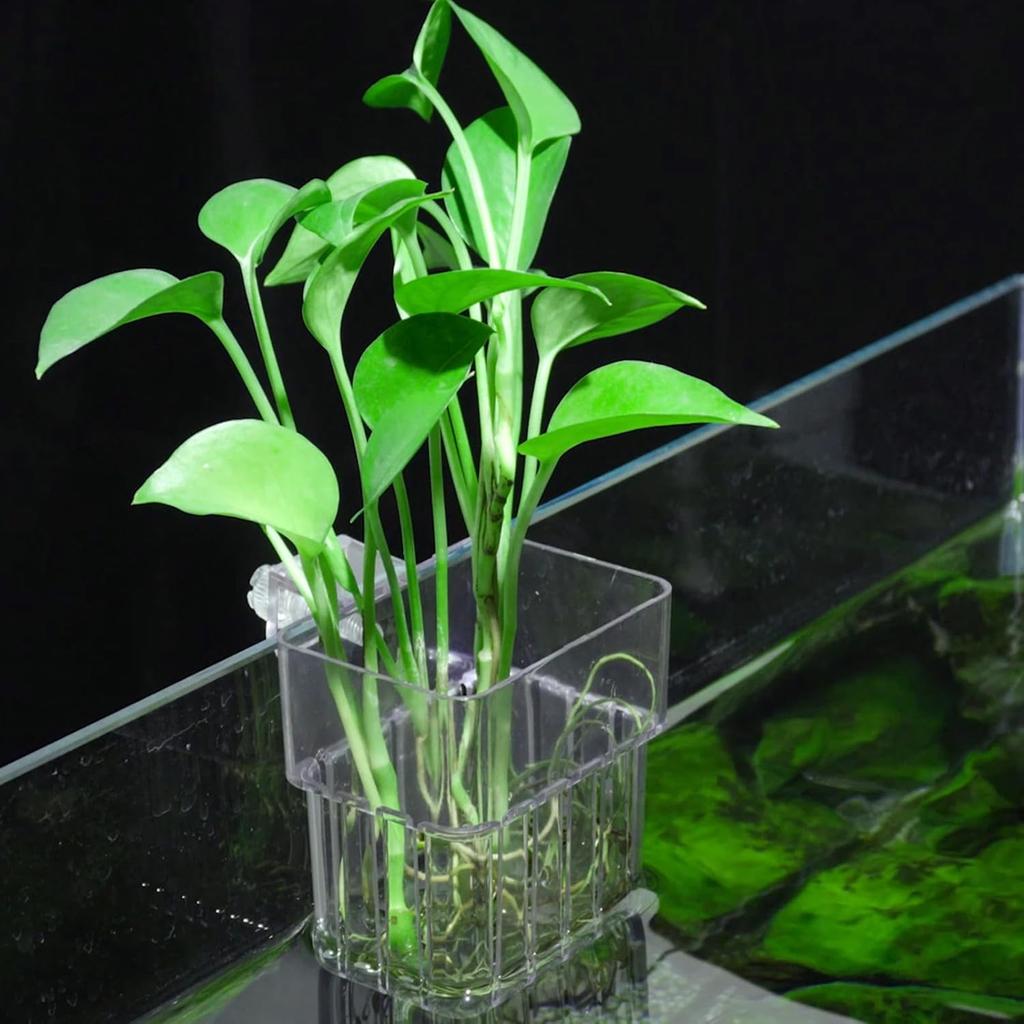 Fischblasen Aquarium Wasser Grasbecher Mehrere Pflanzen Hydrokultur Hydrokultur Pflanzkorb für Aquarium Landschaft