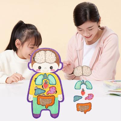 Human Internal Organ Puzzle Game Educational Human Body Structure Anatomy Puzzle Board Kids Toddlers Wooden Body Parts Matching Learning STEM Toy