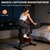 Vélo d'intérieur - NETTLIFE - Modèle standard - Résistance magnétique silencieuse - Selle et guidon réglables - Écran LCD