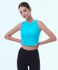 Keompoteulaeb Ergofit Ribbed Crop Sleeveless Top (Type B)