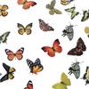 40Pcs/Bag Colorful Butterfly Stickers PET Transparent Decorative Epoxy Resin Fillings for DIY Epoxy Resin Crafts Book Decor